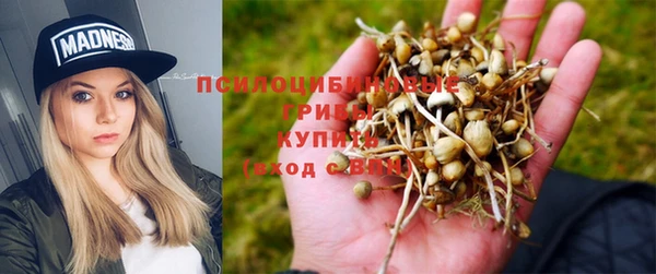 таблы Михайлов