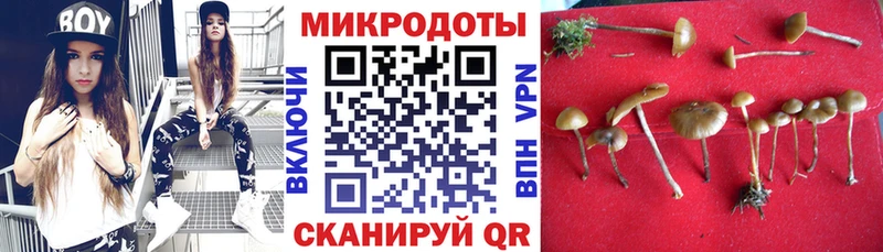 Галлюциногенные грибы GOLDEN TEACHER KRAKEN ССЫЛКА Южноуральск