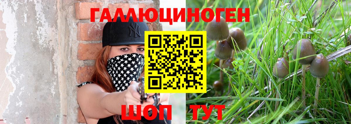 Псилоцибиновые грибы Psilocybine cubensis Южноуральск